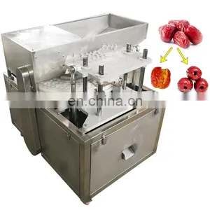 Hot Selling Date Seed Removal Machine Fruit Stone Extractor Date Kernel Extractor Machine thumbnail-1