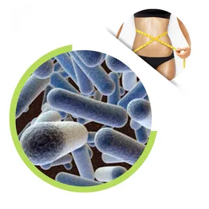Wholesale Price Best Lactobacillus Gasseri Probiotic Powder For Weight Control thumbnail-1