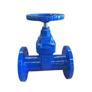 Hot Sale DIN F5 NRS Resilient Seat EPDM Gate Valve PN16 Ductile Iron Gate Valve for Water Pipe thumbnail-1