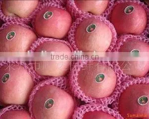Top Quality Fresh Red Fuji Apple thumbnail-1