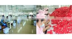 Yangzhou Dadong Craft Co., Ltd. company overview - view 2 thumbnail