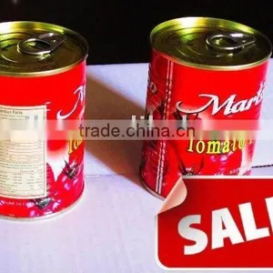 1000g Tomato Paste to Tomato Sauce and Tomato Puree thumbnail-1
