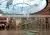 BEIJING CHINA Coloured Tempered Glass Price thumbnail-4