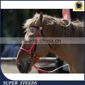 Racing Bridle and Rein With Cold-resistant and Waterproof thumbnail-1