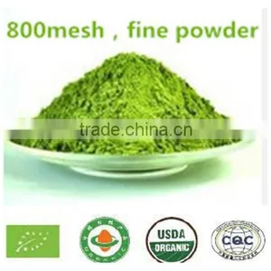 High Quality Organic Matcha Green Tea Powder / Premium Matcha thumbnail-1