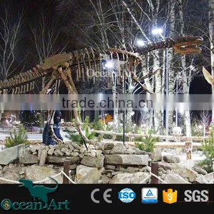 OAV2413 High Quality Dinosaur Skeleton Model thumbnail-5