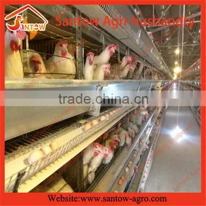Stable Steel Structure Professional Chicken Egg Layer Cage Chicken Egg Layer Farming thumbnail-3