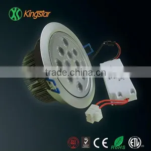 Novelty 12W LED Down Light With 750-900 lm and External Power Supply thumbnail-1