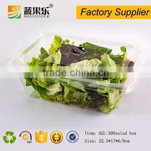 Rectangle Transparent Take Away Plastic Salad Box With Lid thumbnail-4