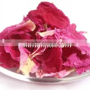 Azaleas Flower thumbnail-1