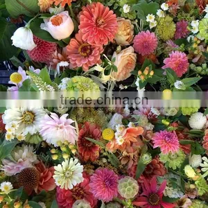 Fresh Cut Flowers Available... thumbnail-1