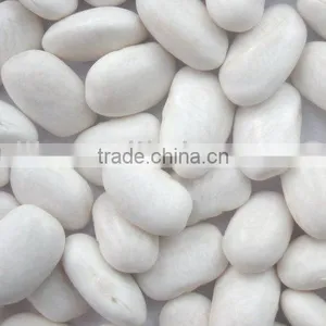 Medium White Kidney Beans thumbnail-1