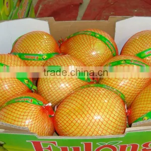 Chinese Fresh Pomelo Fujian Pomelo Sweet Pomelo thumbnail-3