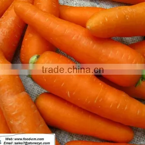 Fresh New Season Carrot on Sale thumbnail-1