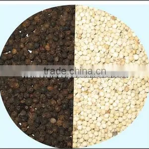 Black Pepper thumbnail-1