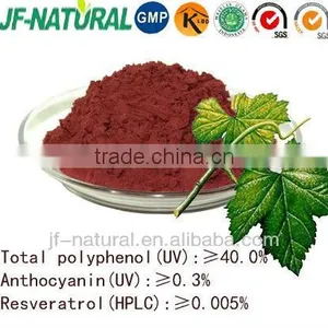 Grape Leaf Extract Powder thumbnail-1