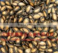 Plumpness Big Size Black Watermelon Seeds thumbnail-1