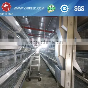 Baby Chicken Hen House Cage for Nigeria Growing Layers thumbnail-5