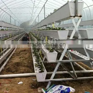 Hydroponic Vertical System for Lettuce thumbnail-3