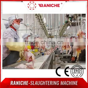 Poultry Chicken Slaughterhouse Equipment thumbnail-2