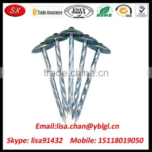 OEM/ODM Stainless Steel Roofing Nail With Umbrella Head thumbnail-1