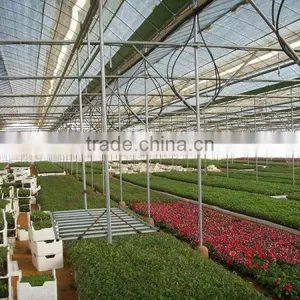 Nursery Systems thumbnail-6