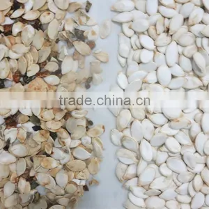 High Quality Seeds Color Sorter With CE/SONCAP Certification thumbnail-3