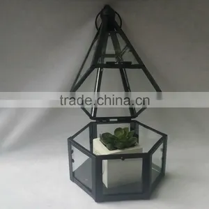 Mini Greenhouse, Steel and Glass House for Plant thumbnail-2