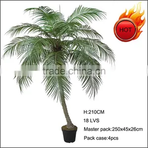 Hot Sale 7ft High Artificial Phoenix Tree thumbnail-1