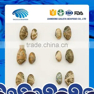 Frozen Boiled Shellfish Type Short Neck Clam thumbnail-1