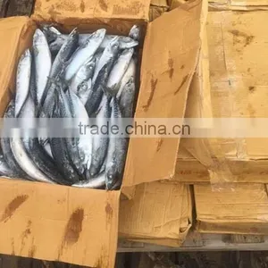 Wholesale Frozen Seafood Fish -Mackerel Fish thumbnail-1