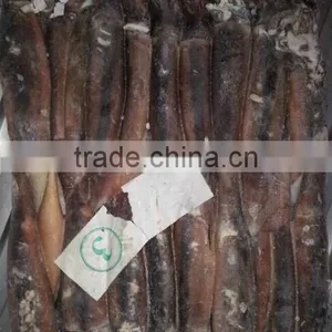 150-200g Frozen Illex Squid thumbnail-5