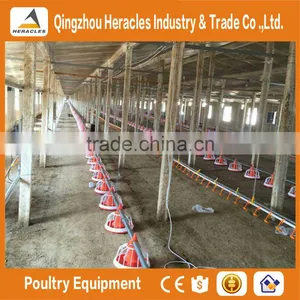 Heracles Sereis Complete Automatic Poultry Farm Equipment for Broilers and Breeders thumbnail-2