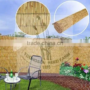 Reed Fence thumbnail-1
