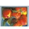 LTM170ET01 17'' Samsung LCD Panel thumbnail-1