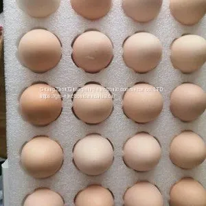 Cong Ming Eggs thumbnail-1
