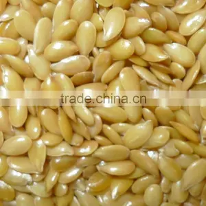 Flaxseed Kernel Certified Organic thumbnail-1