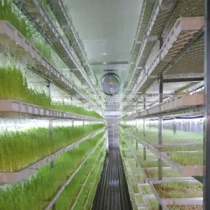 40HQ Hydroponic Fodder System Container Farmhydroponic Growing Systems Shipping Container Hydroponic System thumbnail-2