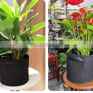 Amazon Free Sample Potato Mushroom Plant Growing Felt Grow Bags thumbnail-2