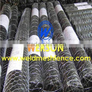 Hexagonal Wire Netting thumbnail-2