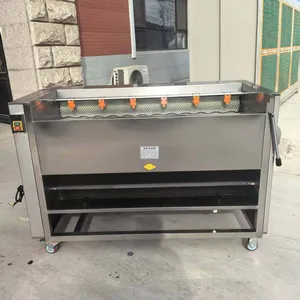Commerical Brush Washing Machine for Sweet Potato and Carrot thumbnail-5