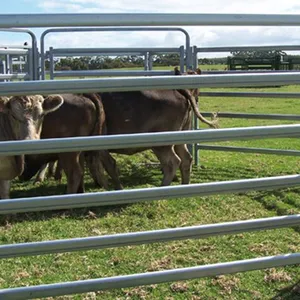 The Livestock Tubular Fence for Cattle Sheep Horses and Others thumbnail-5