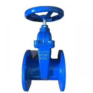 DIN 2'' DN50 PN16 GG25 Cast Iron Ductile Iron GGG40 Flange Gate Valve EPDM Soft Seal Non-Rising Stem Gate Valve thumbnail-1