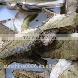 Dried Boletus Mushroom thumbnail-3