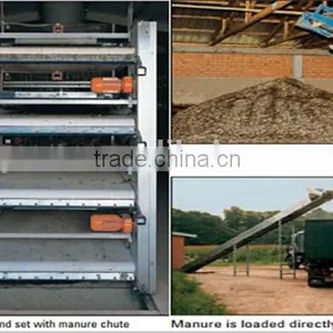 Birdsitter ISO9001 Qualified Aluminum-Zinc Alloy Poultry Farm Chicken Cage Quality Choice thumbnail-3