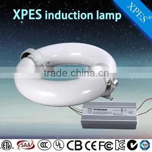 High Efficiency Good Price Induction Lamps From 80watt to 400watt thumbnail-1