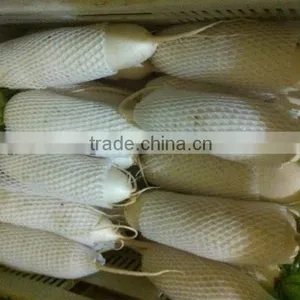 Sell 2014 New Crop White Radish/fresh Radish/fresh White Radish From Brother Kingdom thumbnail-1