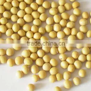 Soybean thumbnail-3