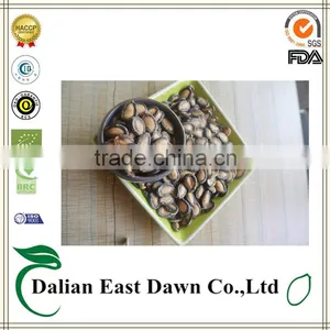 High Quality Watermelon Seeds for Planting - Egyptian Sweet Taste and Shape thumbnail-1