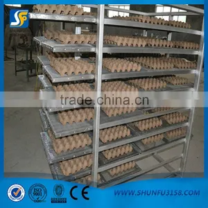 Paper Pulp Egg Tray Molding Machinery For Sale thumbnail-4